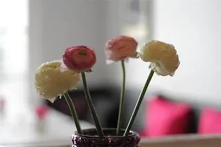 Saint Louis Hotel 2*